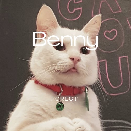 Benny cover art