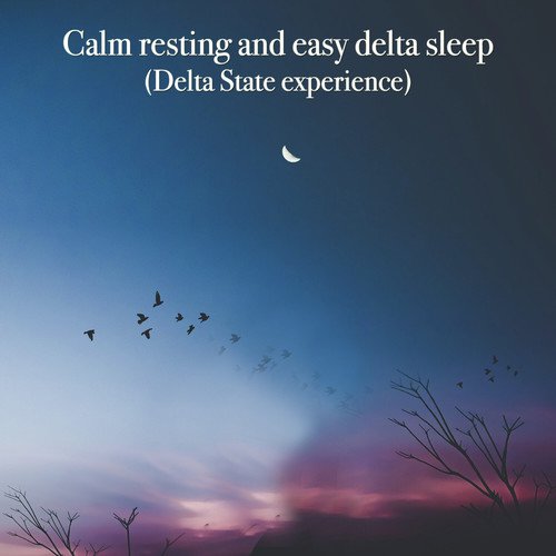 Calm Resting and Easy Delta Sleep (Delta State Experience)