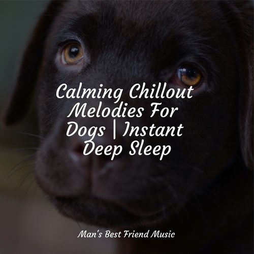 Meditating Music cover art
