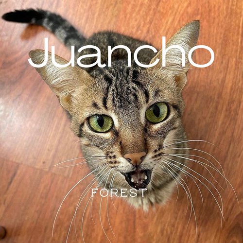 Juancho cover art