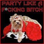 Party Like a Fucking Bitch: Hot Party Music