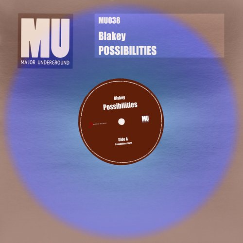 Possibilities_poster_image