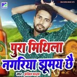 Pura Mithila Nagariya Jhumai Chhai