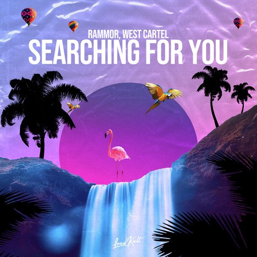 Searching for You_poster_image