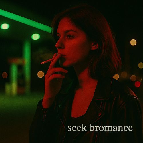 Seek Bromance (House)