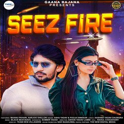 Seez Fire (feat. Maanu Pahari,Aarjoo Dhillon)-Rhs8QEFHQEE