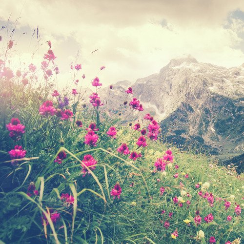 Breathe cover art