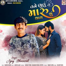 Tane Bhulu To Maru Thay Shu