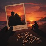 Tere Bin Ye Din