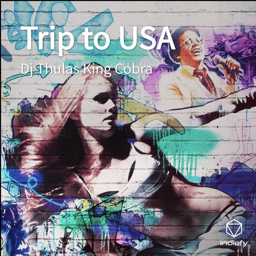 Trip to USA cover art