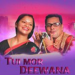 Tui Mor Deewana