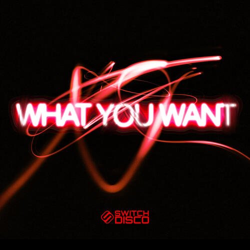 WHAT YOU WANT_poster_image