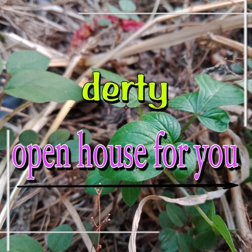 open house for you_poster_image