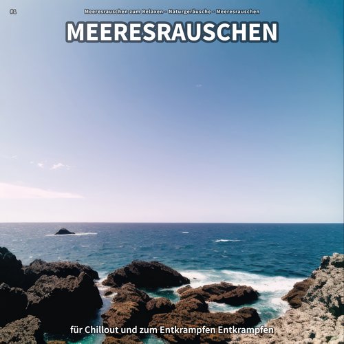 Ozeanrauschen zum Träumen cover art