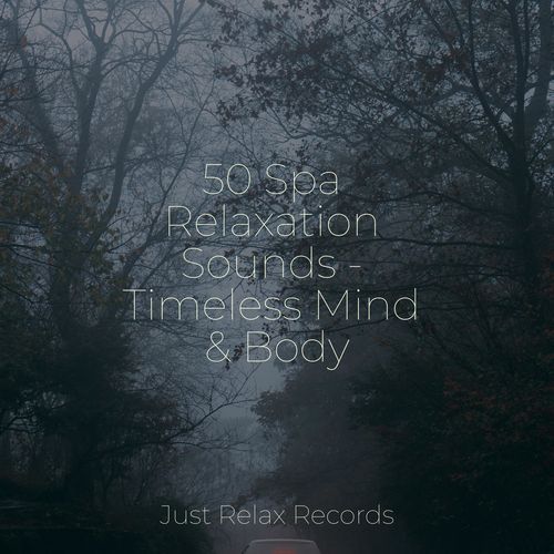 50 Spa Relaxation Sounds - Timeless Mind & Body