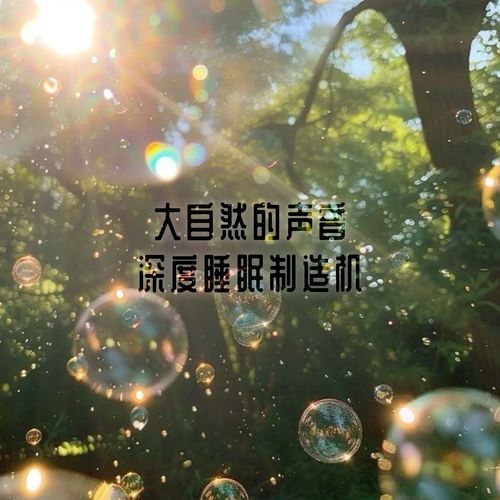 NO.6 下雨森林 鸟叫 钢琴轻快音乐 cover art