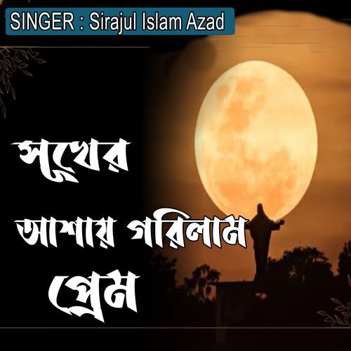 সূখের আশায় গরিলাম প্রেম
