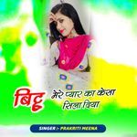 Bittue mere pyar ka kesa ye sila diya