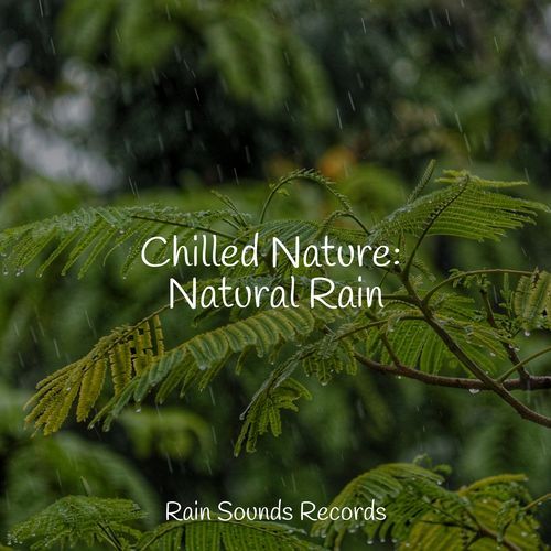 Chilled Nature: Natural Rain