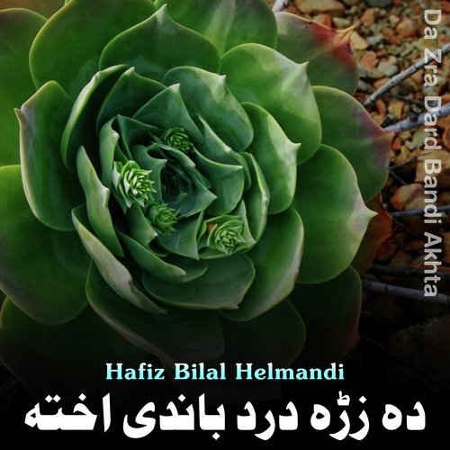 Da Hewad Zmarai Janan