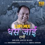 Dhass Jayee Rani (Lofi Mix)