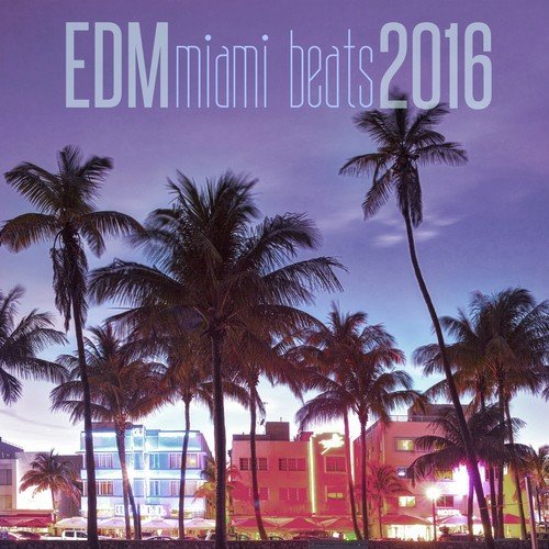 EDM Miami Beats 2016