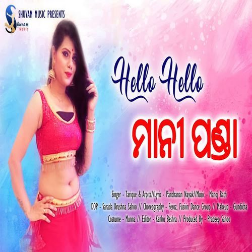 Hello Hello Mani Panda_poster_image