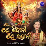 Hey Sivani Hey Bhabani