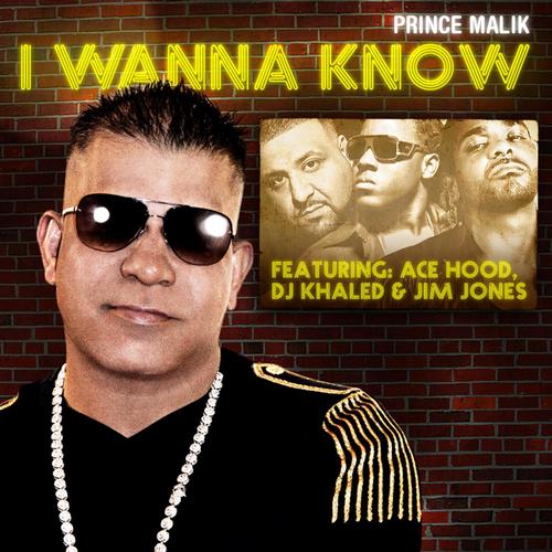 I Wanna Know (Remix) [feat. DJ Khaled, Ace Hood & Jim Jones]