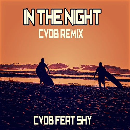 In the Night (Cvdb Remix)