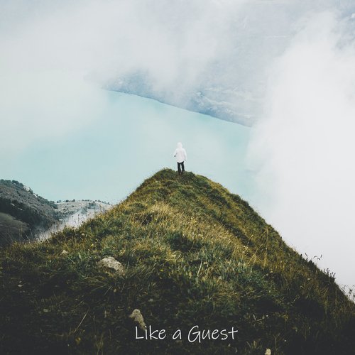 Like a Guest_poster_image