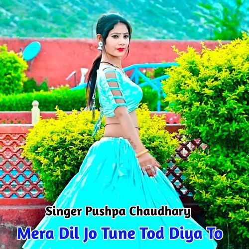 Mera Dil Jo Tune Tod Diya To