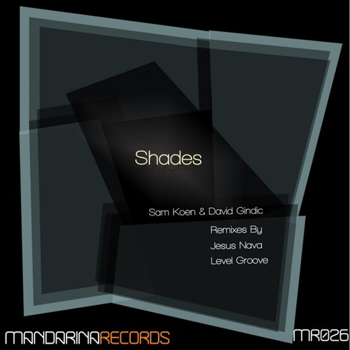 Shades (Jesus Nava Remix) cover art