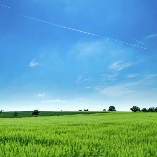 Lazy Morning cover art
