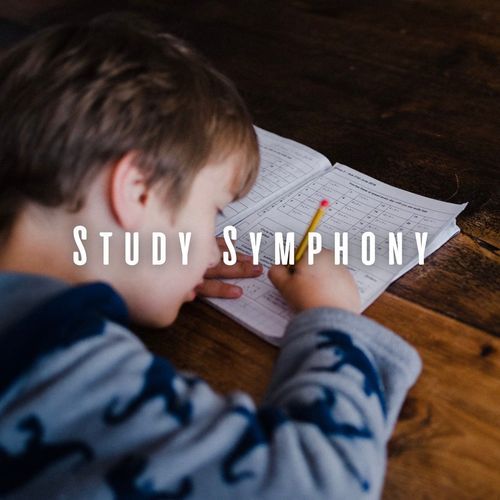 Study Symphony: Piano Soundtracks