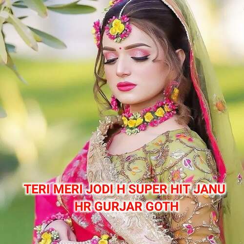 Teri Meri Jodi H Super Hit Janu