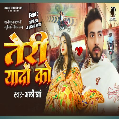 Teri Yaadon Ko