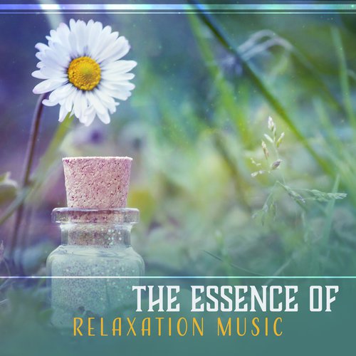 Meditative Mind cover art