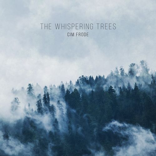 Forest Rain cover art