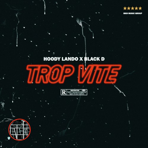 Trop vite cover art