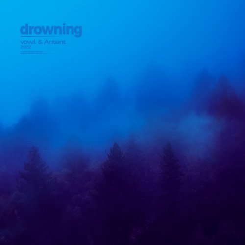 drowning_poster_image