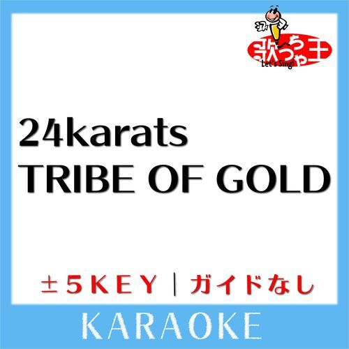 24karats TRIBE OF GOLD(ガイド無しカラオケ)[原曲歌手:EXILE TRIBE]