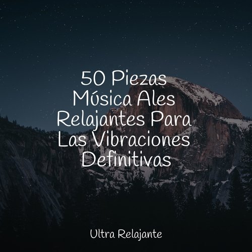 50 Piezas Música Ales Relajantes Para Las Vibraciones Definitivas