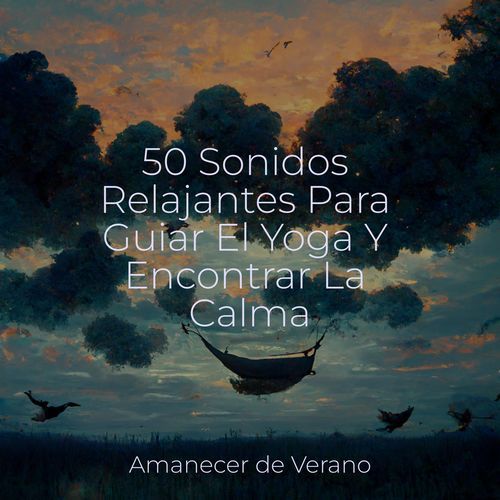 50 Sonidos Relajantes Para Guiar El Yoga Y Encontrar La Calma_poster_image