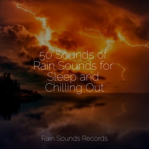 50 Sounds of Rain Sounds for Sleep and Chilling Out