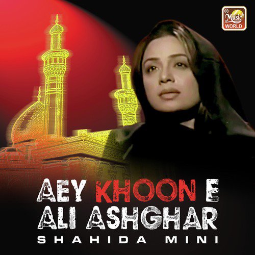 Aey Khoon E Ali Ashghar - Single