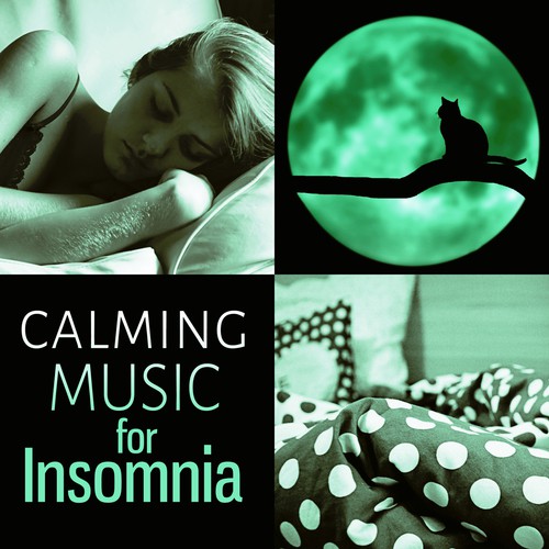 Trouble Sleeping cover art