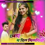Chhabra M Dil Milgiyo artwork