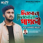 Chinla Na Chinla Na Pagli