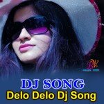 Delo Delo (Dj song)